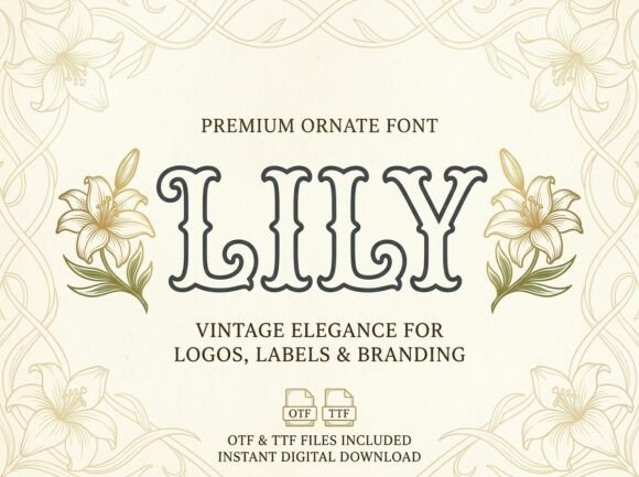 Why Lily is the Modern Typography Choice for Bold Creators